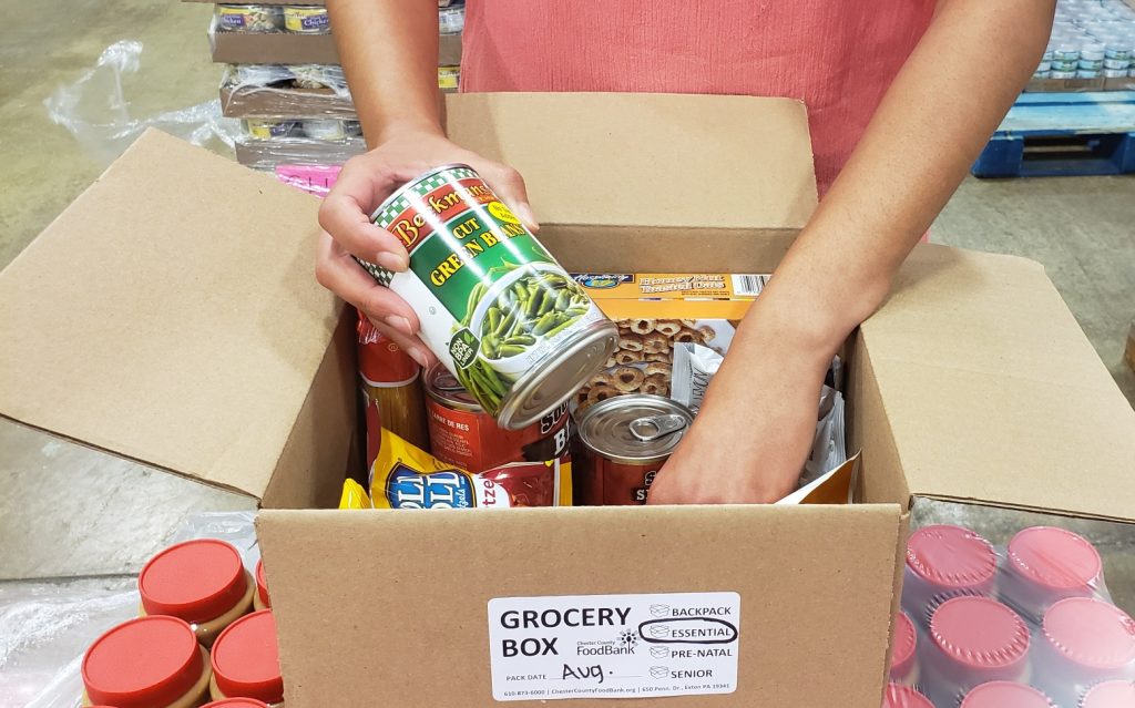 Solo Grocery Box
